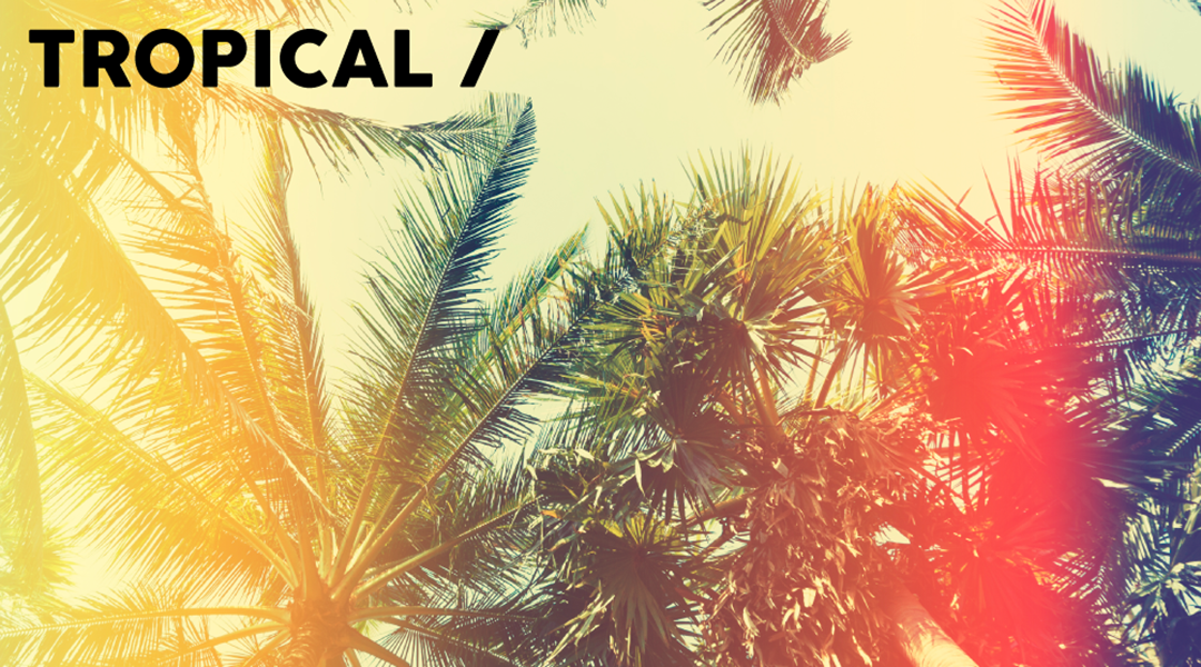 Tropical Banner 2