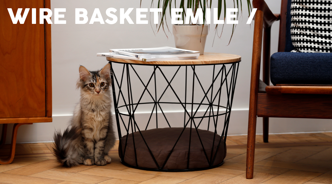 Wire Basket Emile Banner