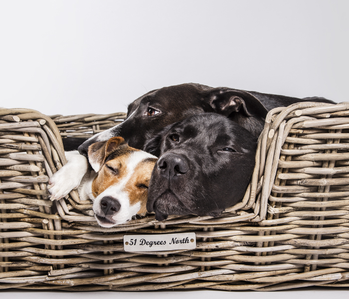 51 Degrees North - Sleep - All Year Rattan Dog baskets Thumbnail